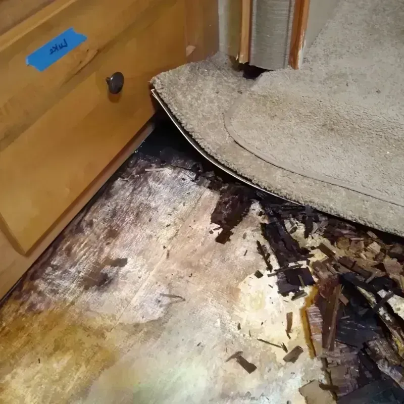 Best Wood Floor Water Damage Service in Zachary, LA